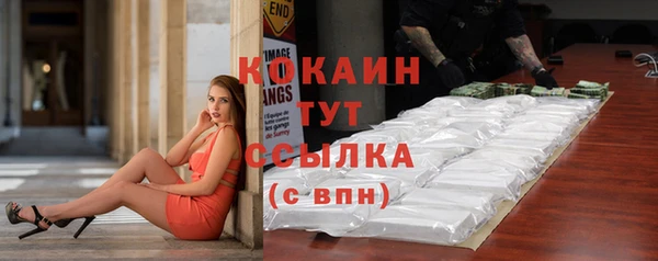 МДПВ Осинники