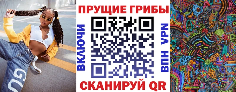 закладка  Углегорск  Галлюциногенные грибы GOLDEN TEACHER 